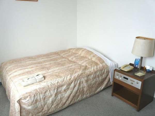 Hotel Peace Land Ishigaki Ishigaki  Room photo